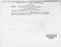 Image Associated With the Occurence